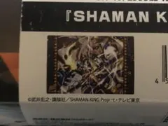 2025年最新】シャーマンキング 下敷きの人気アイテム - メルカリ