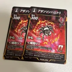 【簡易梱包】【まとめ買い2点目以降200円引き】蟲神器　アダンソンハエトリ　2枚