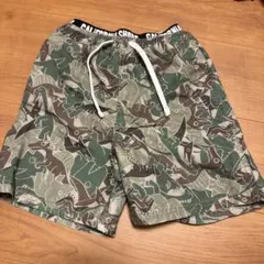 恐竜柄カモフラージュ　水着　110