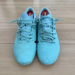 Item thumbnail for item 0e9dc67f-c6a4-4906-b20d-f515af276038