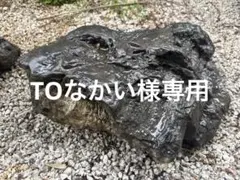 自然石 庭石 景石 鑑賞石 - メルカリ