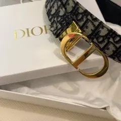 ディオールベルトのサムネイル