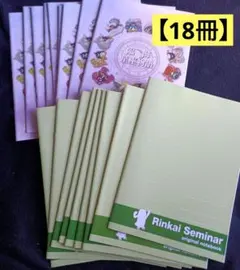 【18冊】 ノート 方眼ノート 大学ノート 学習ノート 学習帳 キャンパスノート