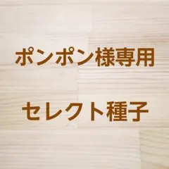 ポンポン様専用　セレクト種子　7袋のサムネイル