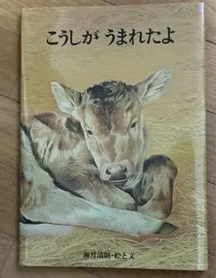 小牛誕生了 圖畫書 全新未使用