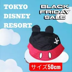 東京ディズニーリゾート ミッキー風ハット 50cm