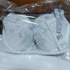 Item thumbnail for item e8f1607e-5cee-4634-abaf-256ae55af4db