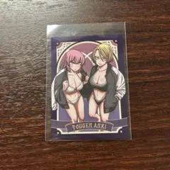 桃源暗鬼 グラッテ メタリックトレーディングイラストカード