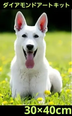 30×40cm白いジャーマンシェパードドッグダイヤモンドアートキット