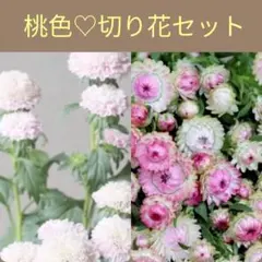 ミルコ様 リクエスト 6点 まとめ商品