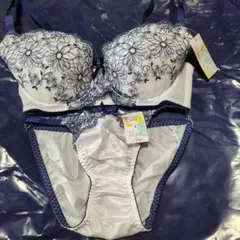 Item thumbnail for item fa3b3091-60d6-4138-9fe1-2de89fca96c3