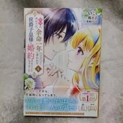 義姉の代わりに、余命一年と言われる侯爵子息様と婚約することになりました　4巻