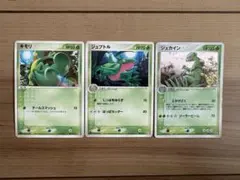 ポケモンずかんカード キモリ ジュプトル ジュカイン セット - メルカリ