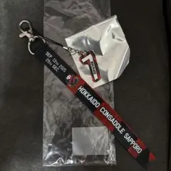 北海道コンサドーレ札幌　ボンフィン