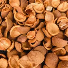 Item thumbnail for item 3d52503b-ebc2-493d-8ba8-5704cfb9e072