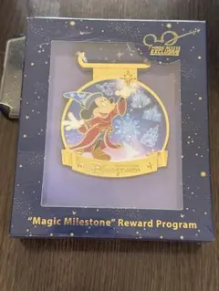 非売品　香港ディズニー　年パス限定メダル
