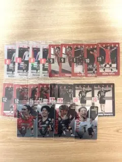 バレーボール男子日本代表　ツインウエハース2025　カード 21枚セット