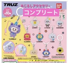 TRUZ めじるしアクセサリー　全10種コンプリートセット　treasure