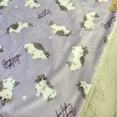 SALE☆新品未使用 猫ちゃん100×140cmスムースタッタ裏ボアブランケット