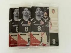 男子バレーボール ツインウエハース 関田誠大