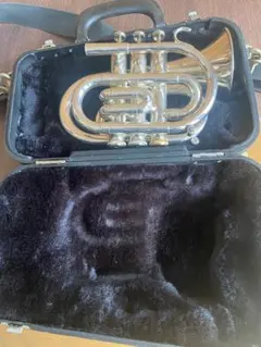 2026年最新】ジュピタートランペットの人気アイテム - メルカリ