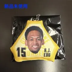 【新品未使用】群馬クレインサンダーズ エージェー・エドゥ ミニクッションキー