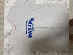 DAYDAY SEOUL 半袖 Tシャツ グレー ロゴ