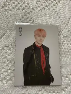 SEVENTEEN ディノ トレカ ideal cut 017