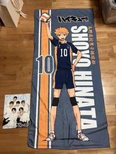 2025年最新】ハイキュー ビッグタオルの人気アイテム - メルカリ