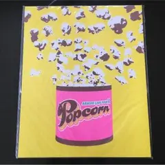 嵐 Popcorn パンフレット