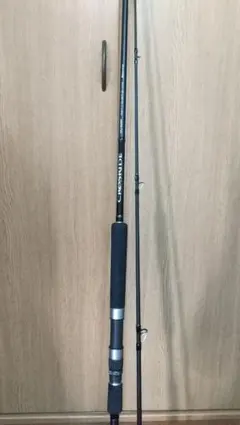 2025年最新】ショアジギングロッドの人気アイテム - メルカリ