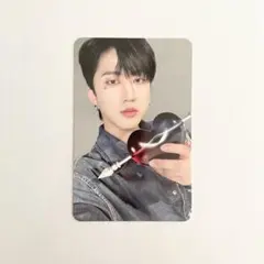Stray Kids スキズ チャンビン MAXIDENT CASE トレカ