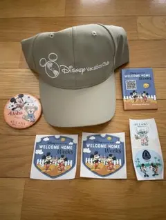 アウラニ　ディズニー　セットのサムネイル