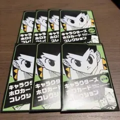 HUNTER×HUNTER キャラクターズホロカードコレクション 7点のサムネイル
