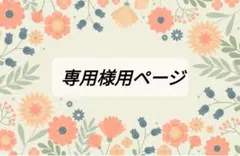 まぁちゃん様専用