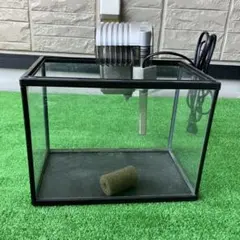 値下げ ガラス水槽 使用済品 中古 汚れあり 引き取り限定(埼玉) - メルカリ