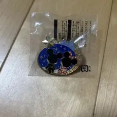 ジャングルカーニバル　ピンバッジ　ミッキー ミニー スターライト　即配送　匿名