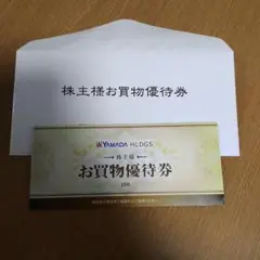 YAMADA HLDGS. お買物優待券 5000円分