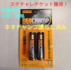 ミニ四駆　ネオチャンプ　慣らし済み　⑨