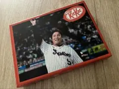 【ファン感限定】ヤクルトスワローズ　キットカット　川端慎吾