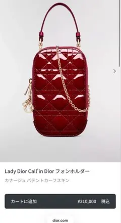 2026年最新】lady dior フォンホルダーの人気アイテム - メルカリ