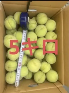 硬い桃 5キロ 8-15個/kg(甘いと酸っぱい混ぜます)のサムネイル