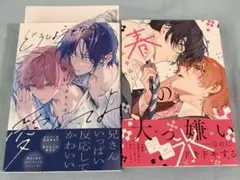 どうしようもなく愛して 春の氷