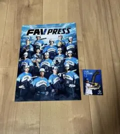 【北海道日本ハムファイターズ】✖️超恐竜展水谷瞬トレカ+2025FAVPRESS