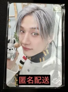 StrayKids スキズ バンチャン トレカ stayzone ペンミ4/5