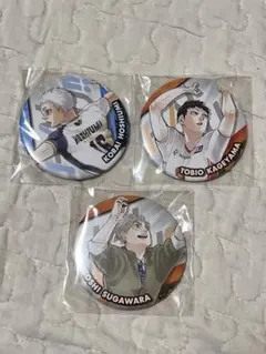 ハイキュー‼︎缶バッジ3個セット