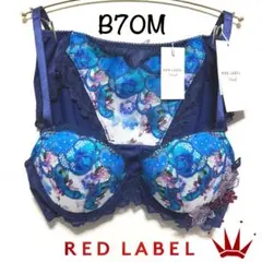 ＊B70M トリンプ プレミアム レッドレーベル0120 ブラ＆ショーツ