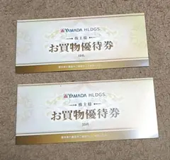 ヤマダ電機（ヤマダデンキ）株主優待券（お買物優待券）10000円分