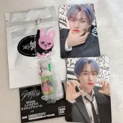 straykids SKZOO チャンビン　トェッキ