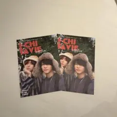 いちたび 伊野尾慧 知念侑李 ファミクラストア フリーペーパー2冊 いのちね